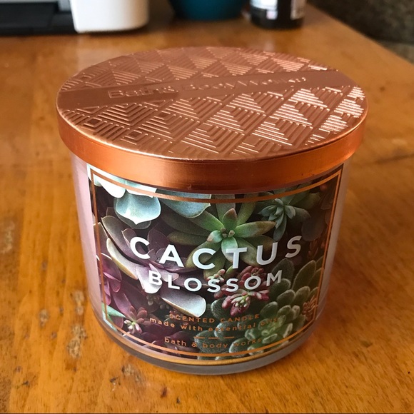 BBW Cactus Blossom 3-Wick Candle